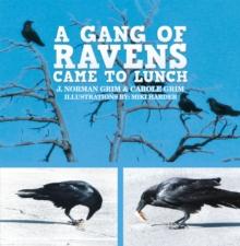 A Gang of Ravens Came to Lunch