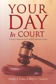 Your Day in Court : Using Common Law with Common Sense