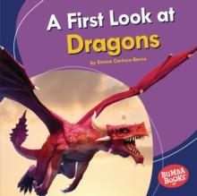 A First Look at Dragons