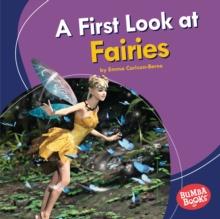 A First Look at Fairies