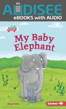 My Baby Elephant