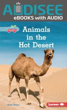 Animals in the Hot Desert