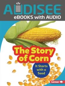 The Story of Corn : It Starts with a Seed