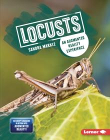 Locusts : An Augmented Reality Experience