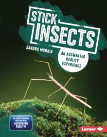 Stick Insects : An Augmented Reality Experience