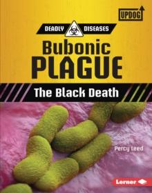 Bubonic Plague : The Black Death