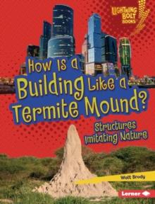 How Is a Building Like a Termite Mound? : Structures Imitating Nature