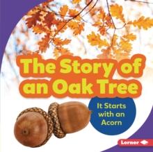 The Story of an Oak Tree : It Starts with an Acorn