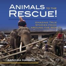 Animals to the Rescue! : Amazing True Stories from around the World