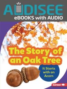 The Story of an Oak Tree : It Starts with an Acorn