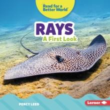 Rays : A First Look