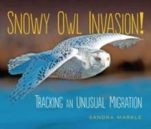 Snowy Owl Invasion! : Tracking an Unusual Migration