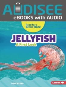 Jellyfish : A First Look