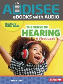 The Sense of Hearing : A First Look