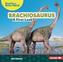 Brachiosaurus : A First Look