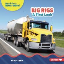 Big Rigs : A First Look