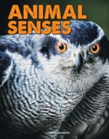 Animal Senses