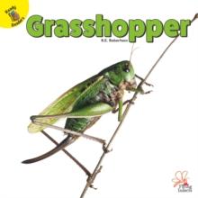 Grasshopper