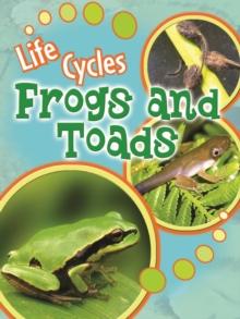 Frogs and Toads