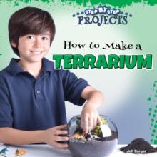 How to Make a Terrarium