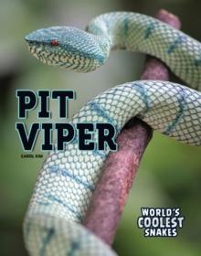 Pit Viper