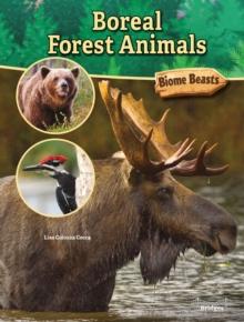 Boreal Forest Animals