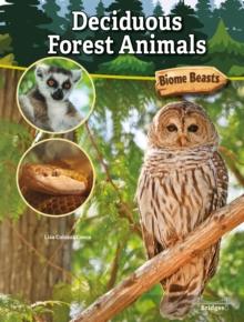 Deciduous Forest Animals