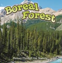 Seasons Of The Boreal Forest Biome