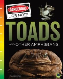 Toads and Other Amphibians