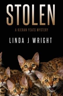 Stolen : A Kieran Yeats Mystery