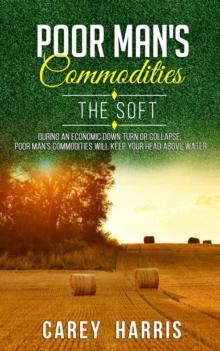 The Poor Man's Commodities