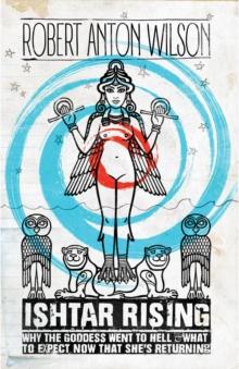 Ishtar Rising : Why the Goddess Went to Hell and What to Expect Now That She's Returning