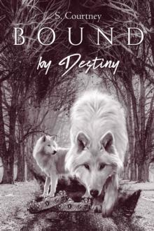 Bound by Destiny : The Bound Series, #2