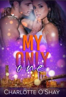 My Only One : A Friends to Lovers Romantic Suspense