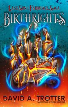 Birthrights : The Last Son of the Feromage Saga