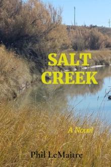 SALT CREEK : A Novel