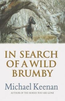 In Search Of A Wild Brumby