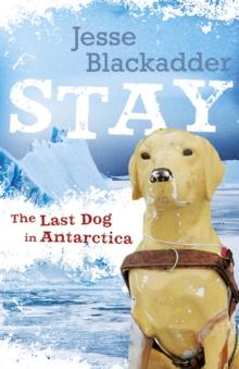 Stay : The Last Dog In Antarctica