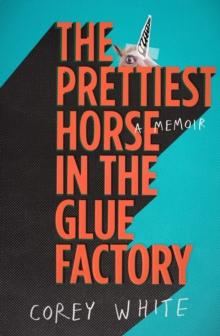 The Prettiest Horse in the Glue Factory : A Memoir