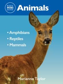 Reed Mini Guide: Animals : Amphibians L Reptiles L Mammals