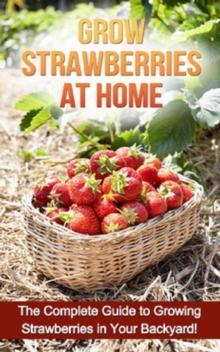 Grow Strawberries at Home : The complete guide to growing strawberries in your backyard!