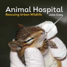 Animal Hospital : Rescuing Urban Wildlife