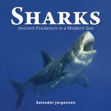 Sharks : Ancient Predators in a Modern Sea