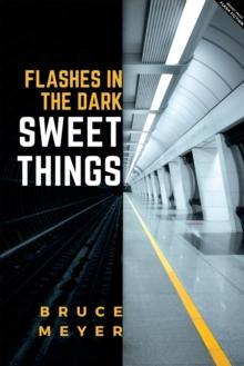 Sweet Things : Flashes in The Dark