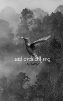 Sad Birds Still Sing