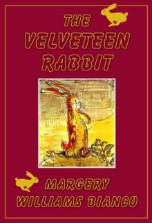 The Velveteen Rabbit