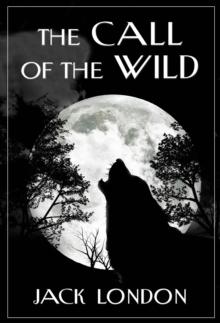 The Call of the Wild