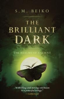 The Brilliant Dark : The Realms of Ancient, Book 3