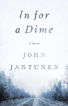 In For A Dime : A Novel