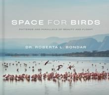 Space for Birds : Patterns and Parallels of Beauty and Flight